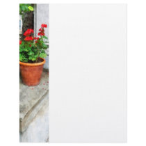 Pot of Geraniums on Stoop Letterhead Template