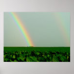 Pot of Gold posters