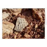 Pot sherd Blank Card cards