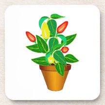 Pot with red and yellow pepper plant coasters