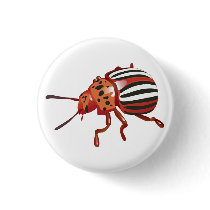 Potato Beetle Pins