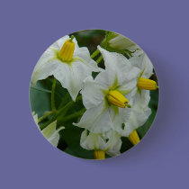 Potato Blossom buttons