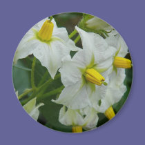 Potato Blossom magnets