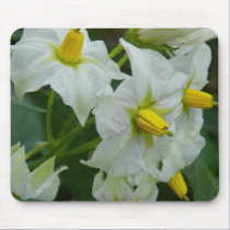 Potato Blossom mousepads