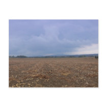 Potato Field postcards