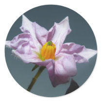 Potato flower against the sky stickers