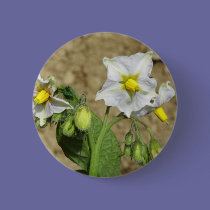 Potato Flower buttons
