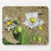 Potato Flower mousepads
