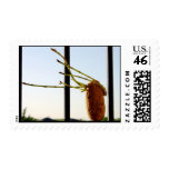 Potato Hair Blowing in the Wind Stamp