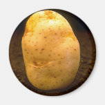 Potato on dirt fridge magnet
