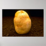 Potato on dirt poster