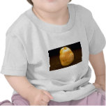 Potato on dirt tees