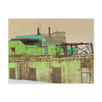 Potato Plant postcards