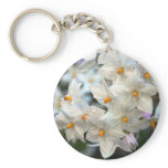 Potato Vine keychains