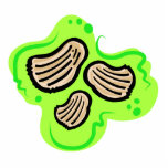Potatoe Chips Photo Cut Out