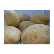 Potatoes postcards