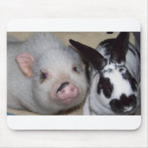 Potbelly Pig & Friend Mouse Pads