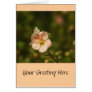 Potentilla Close Up Cards