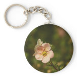Potentilla Close Up Keychains
