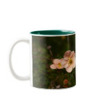 Potentilla Shrub Mug
