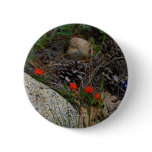 Potpourri Pinback Buttons