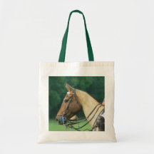 Potro de polo con la bolsa de asas del jinete