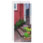 Pots of Flowers By Door rack cards