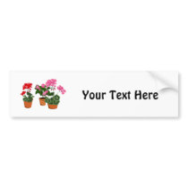 Pots of Geraniums Bumper Stickers