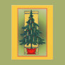 Potted Christmas Tree Post Cards Potted Christmas Tree Post Cards
