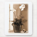 Potted Phaelanopsis Sepia tone mousepads by ElainePlesser Potted Phaelanopsis Sepia tone mousepads