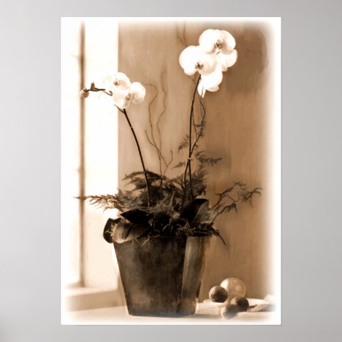 Potted Phalaenopsis Sepia Tone print