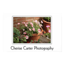 Potted Pink Petunias posters