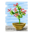 Potted Plant posters