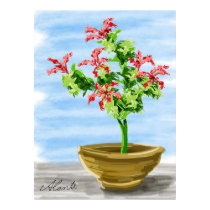 Potted Plant posters
