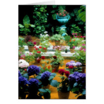 Potted Plants in Beautiful Garden in Seville Spain cards
