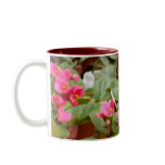 Potted Violets Coffee Mugs