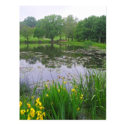 Potter Lake in Lawrence, Kansas, Postcard