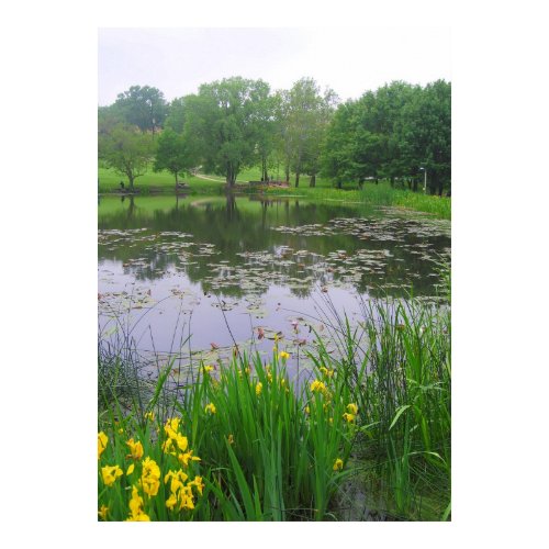 Potter Lake at KU.