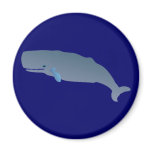 Pottwal sperm whale magnets