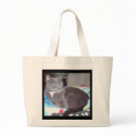 Pounce bags by nintendogsrocky Pounce bags