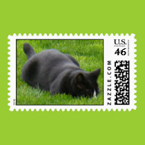Pouncing cat postage postage