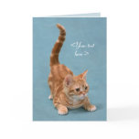 Pouncing Kitten - Customize cards