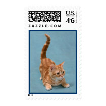 Pouncing Kitten postage by MuseMagic Pouncing Kitten postage