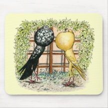 Pouter:  Brunners Mouse Pads