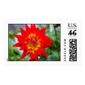 POW!! postage by designcreatology POW!! postage