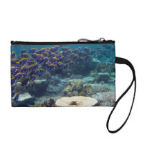 Powder Blue Surgeon Fish Coin Purses