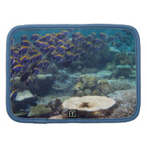 Powder Blue Surgeon Fish Folio Planner