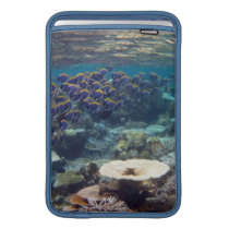 Powder Blue Surgeon Fish Sleeve For MacBook Air