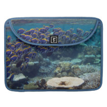 Powder Blue Surgeon Fish Sleeve For MacBooks