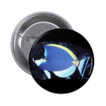 Powder Blue Tang Pinback Buttons